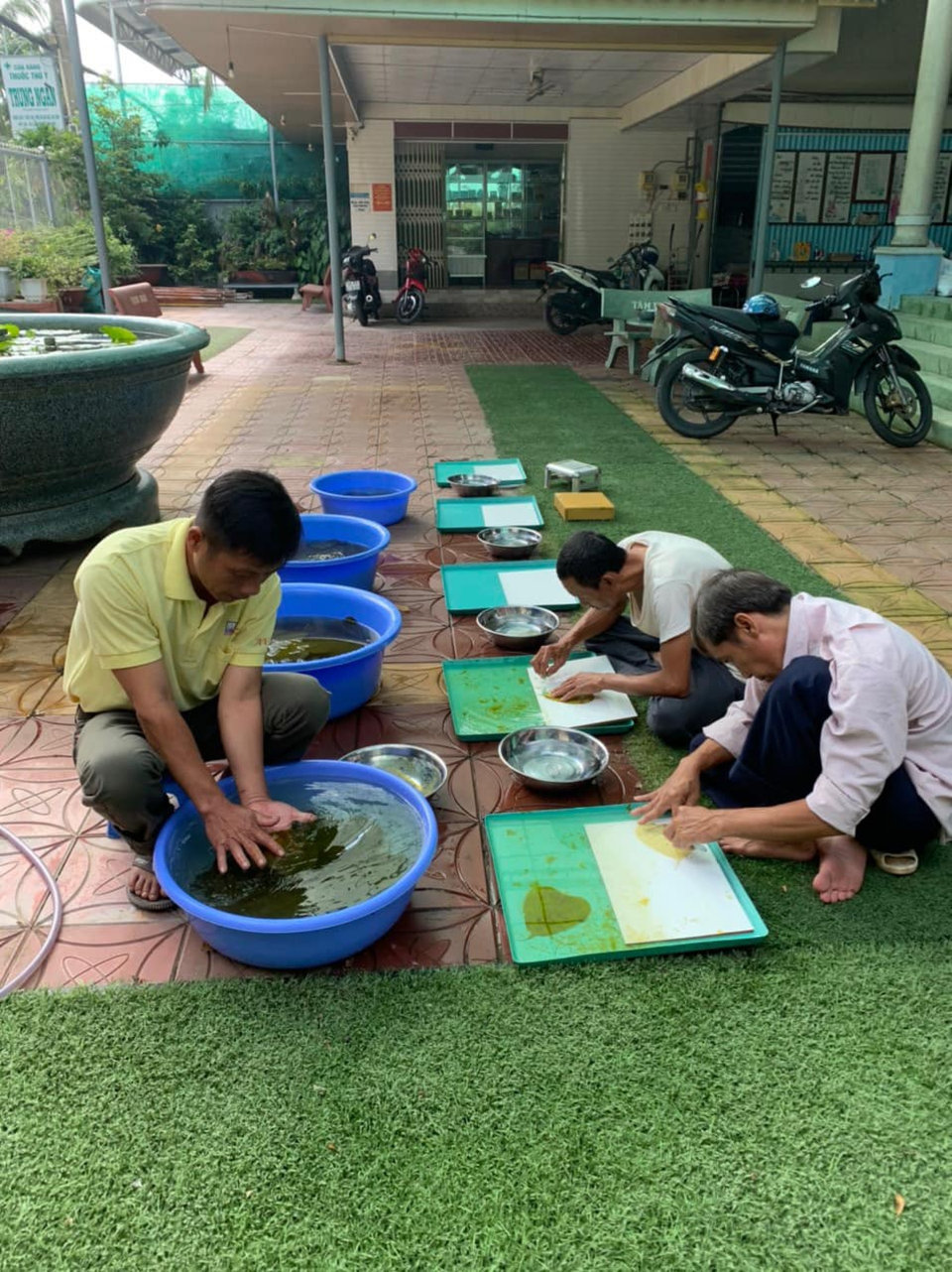 HĐ Lý Gia miền Tây chuẩn bị vật phẩm (từ cây bồ đề của Lý Gia) làm quà tặng HĐ tham dự sự kiện (dự trù 400 lá) !!! 17/07/2022 !!!