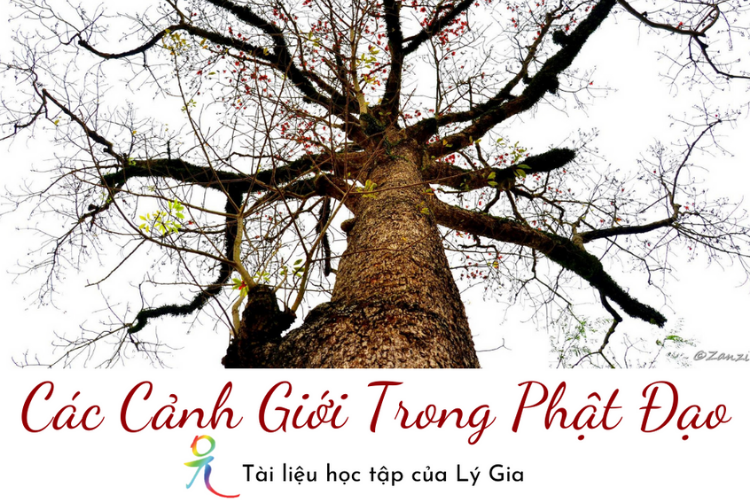 Giáo Pháp Nhập Môn