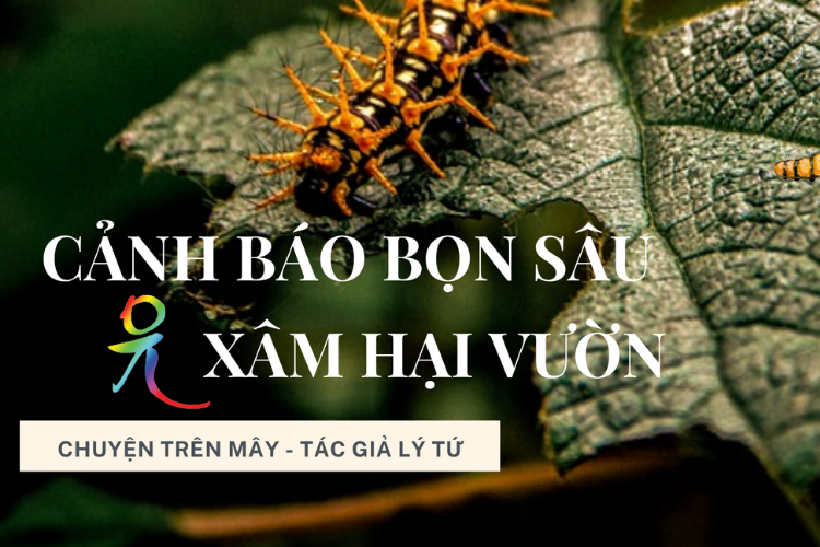 Chuyện Trên Mây