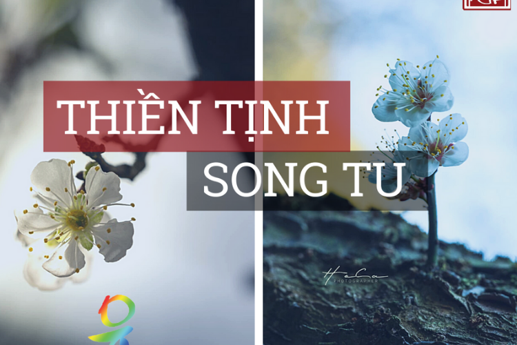 Giáo Pháp Nhập Môn