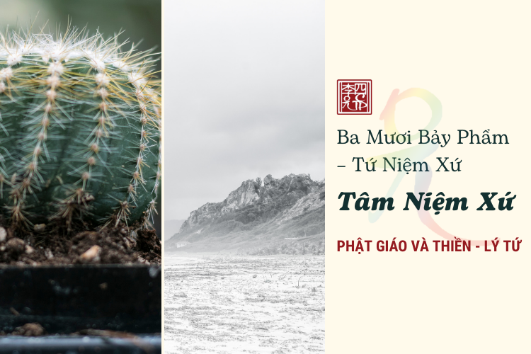 Phật Giáo Và Thiền 