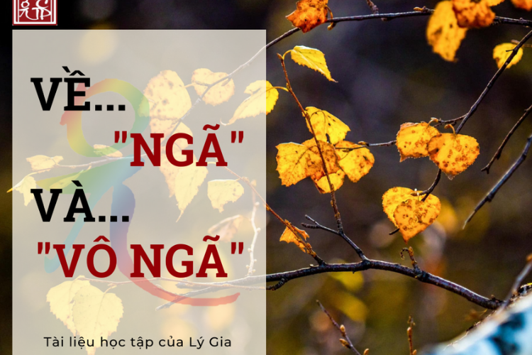 Giáo Pháp Nhập Môn