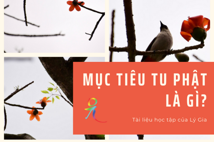 Giáo Pháp Nhập Môn