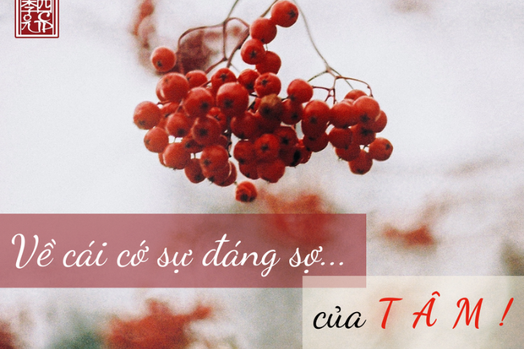 Giáo Pháp Nhập Môn