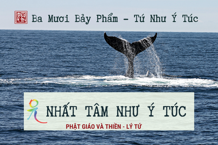 Phật Giáo Và Thiền 