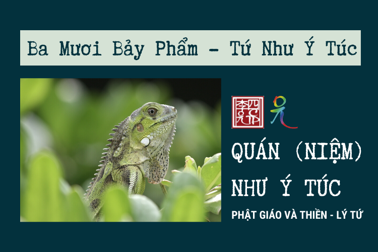 Phật Giáo Và Thiền 