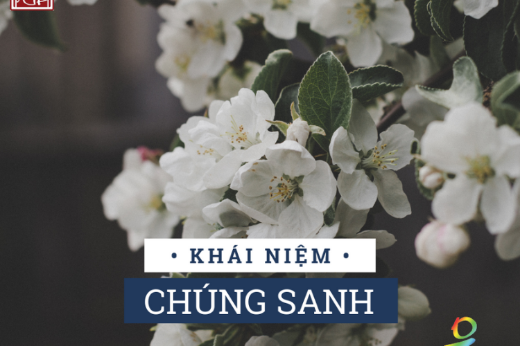 Giáo Pháp Nhập Môn