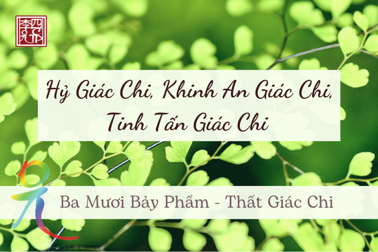 Phật Giáo Và Thiền 