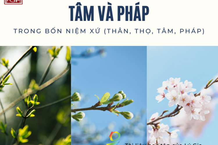 Giáo Pháp Nhập Môn