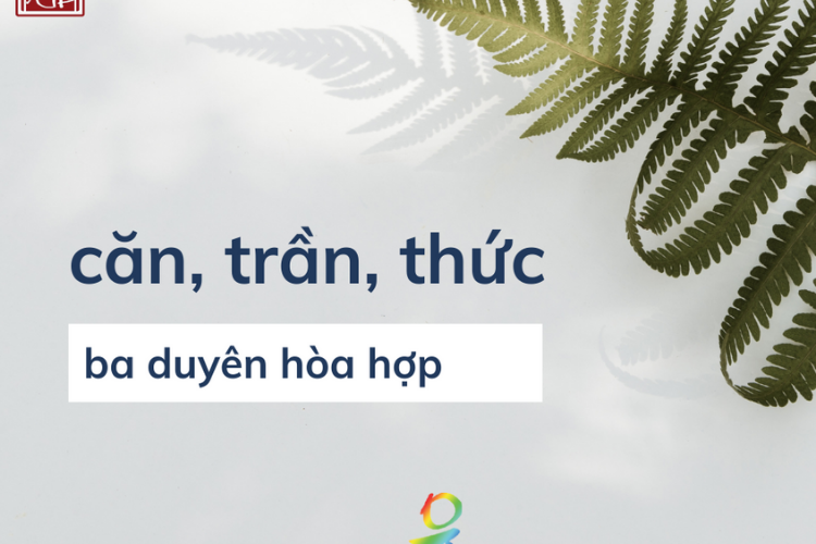 Giáo Pháp Nhập Môn