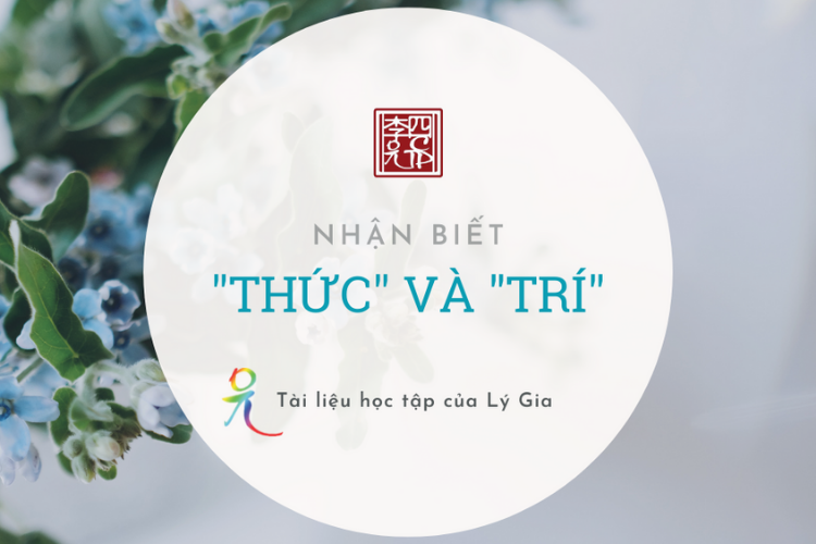 Giáo Pháp Nhập Môn