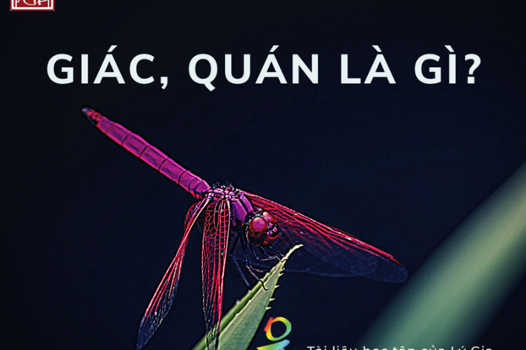 Giáo Pháp Nhập Môn