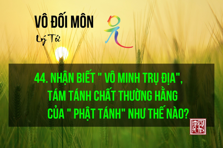 Vô Đối Môn