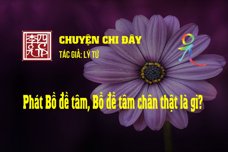 Chuyện Chi Đây
