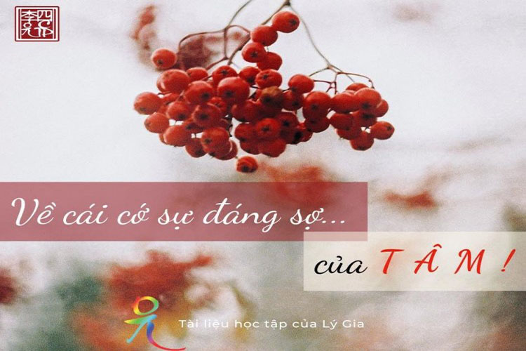 Tổng hợp bài tản mạn