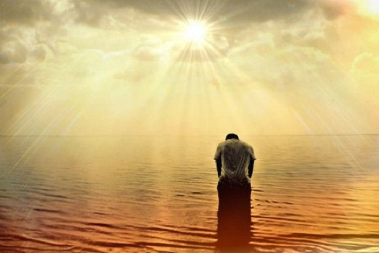 Cảm nhận bạn đọc