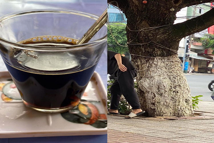 Tổng hợp bài tản mạn