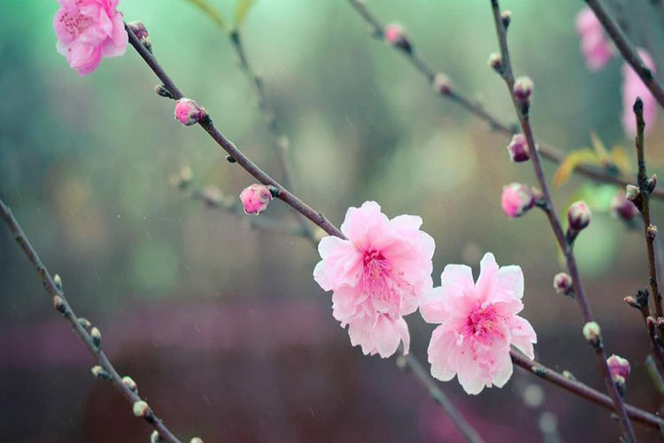 Tổng hợp bài tản mạn