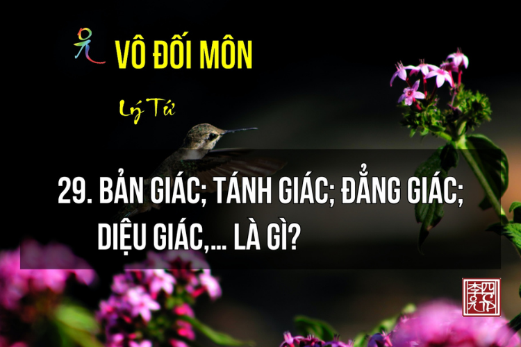 Vô Đối Môn MP3