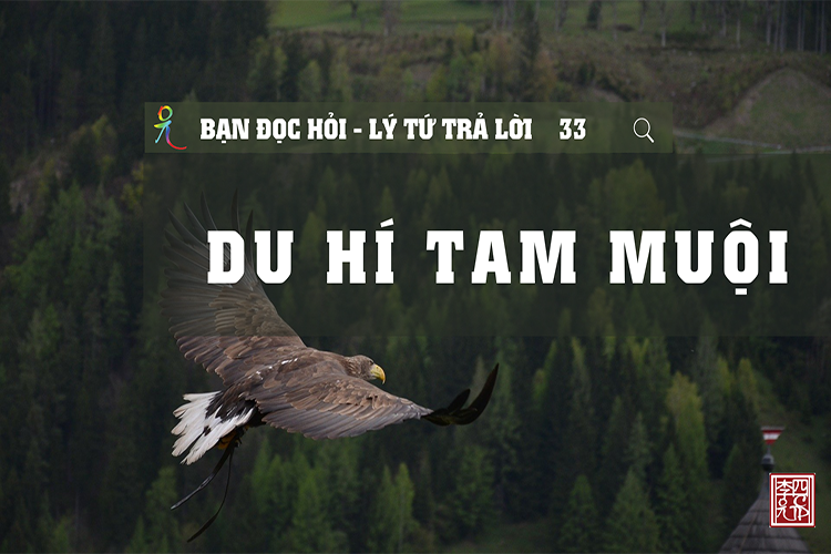 Lý Tứ Hỏi Đáp