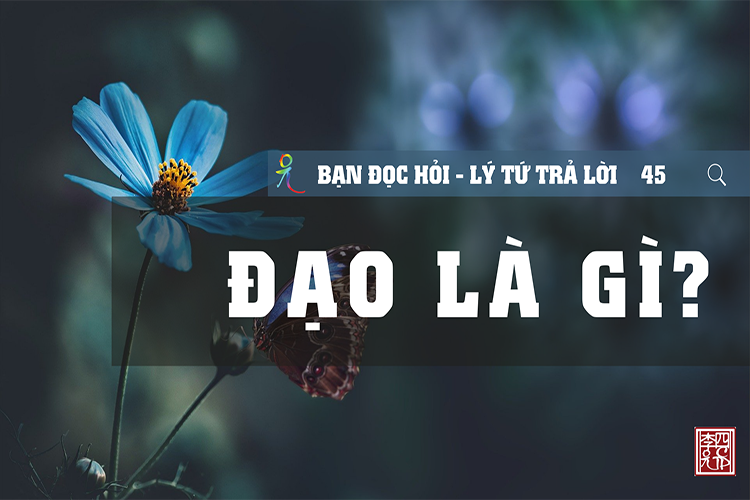 Lý Tứ Hỏi Đáp