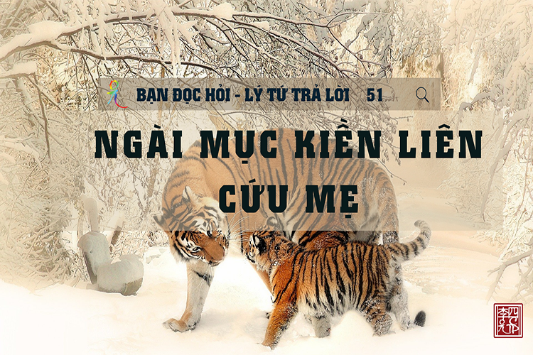 Lý Tứ Hỏi Đáp