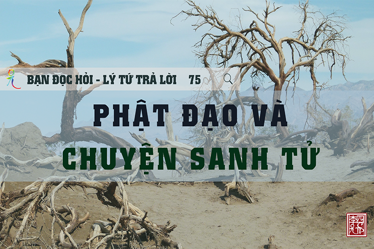 Lý Tứ Hỏi Đáp