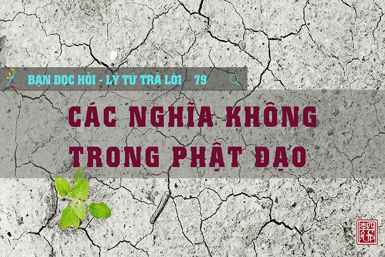 Lý Tứ Hỏi Đáp