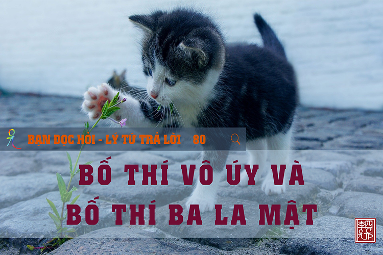 Lý Tứ Hỏi Đáp