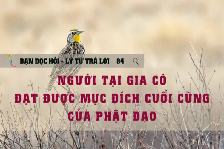 Lý Tứ Hỏi Đáp