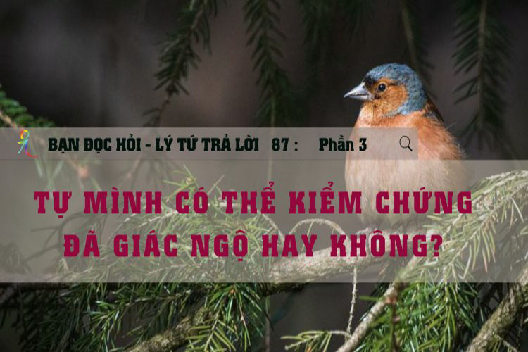 Lý Tứ Hỏi Đáp