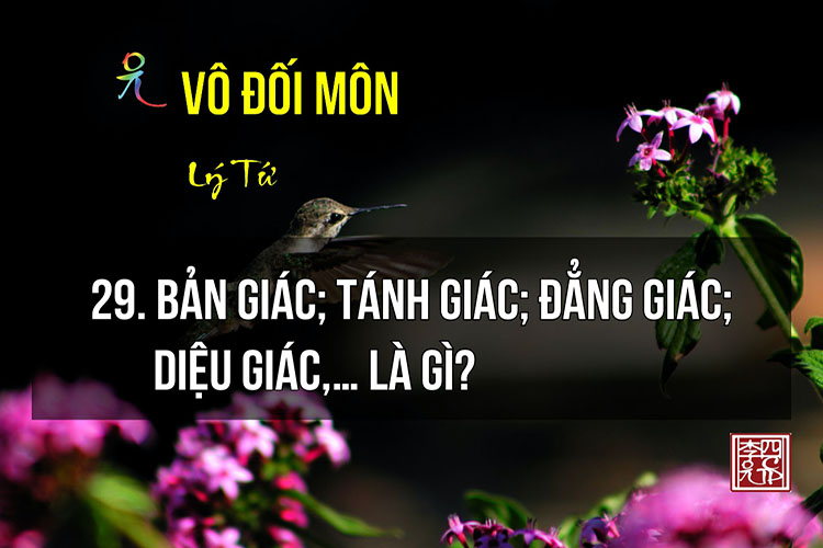 Vô Đối Môn