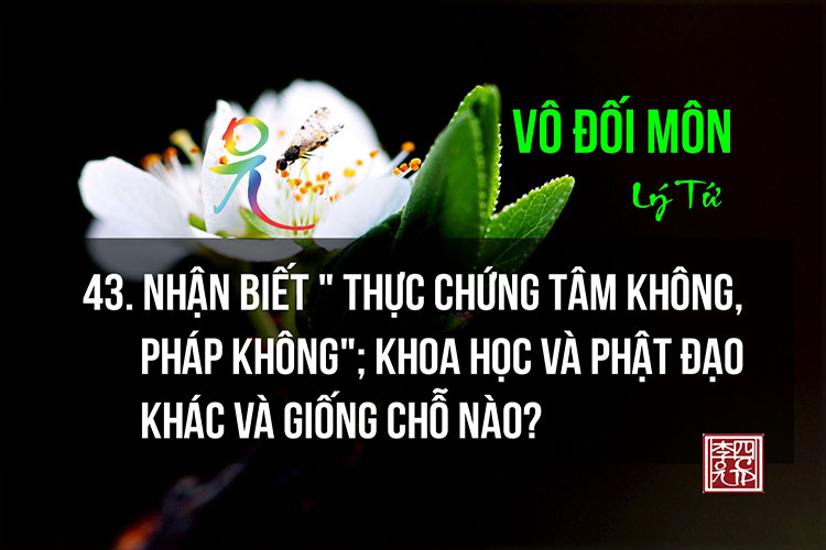 Vô Đối Môn