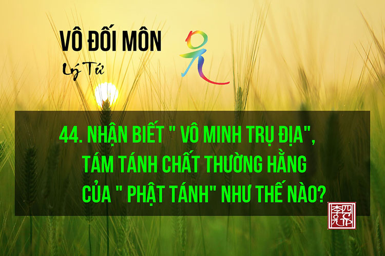 Vô Đối Môn