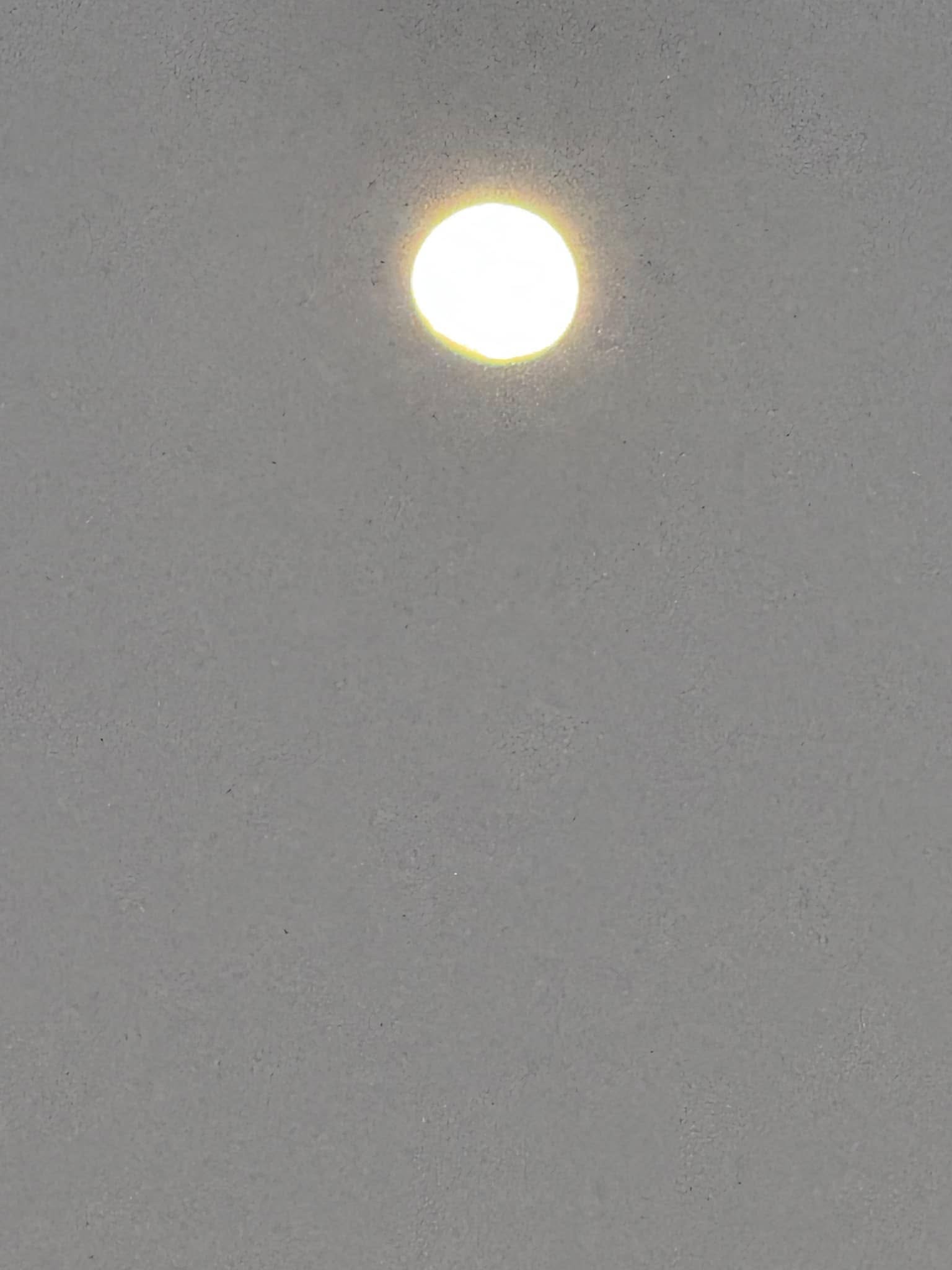 NHẬT KÍ ẤN ĐỘ !!!  (11/01/2025)