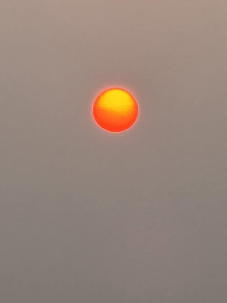 NHẬT KÍ ẤN ĐỘ !!!  (13/01/2025)