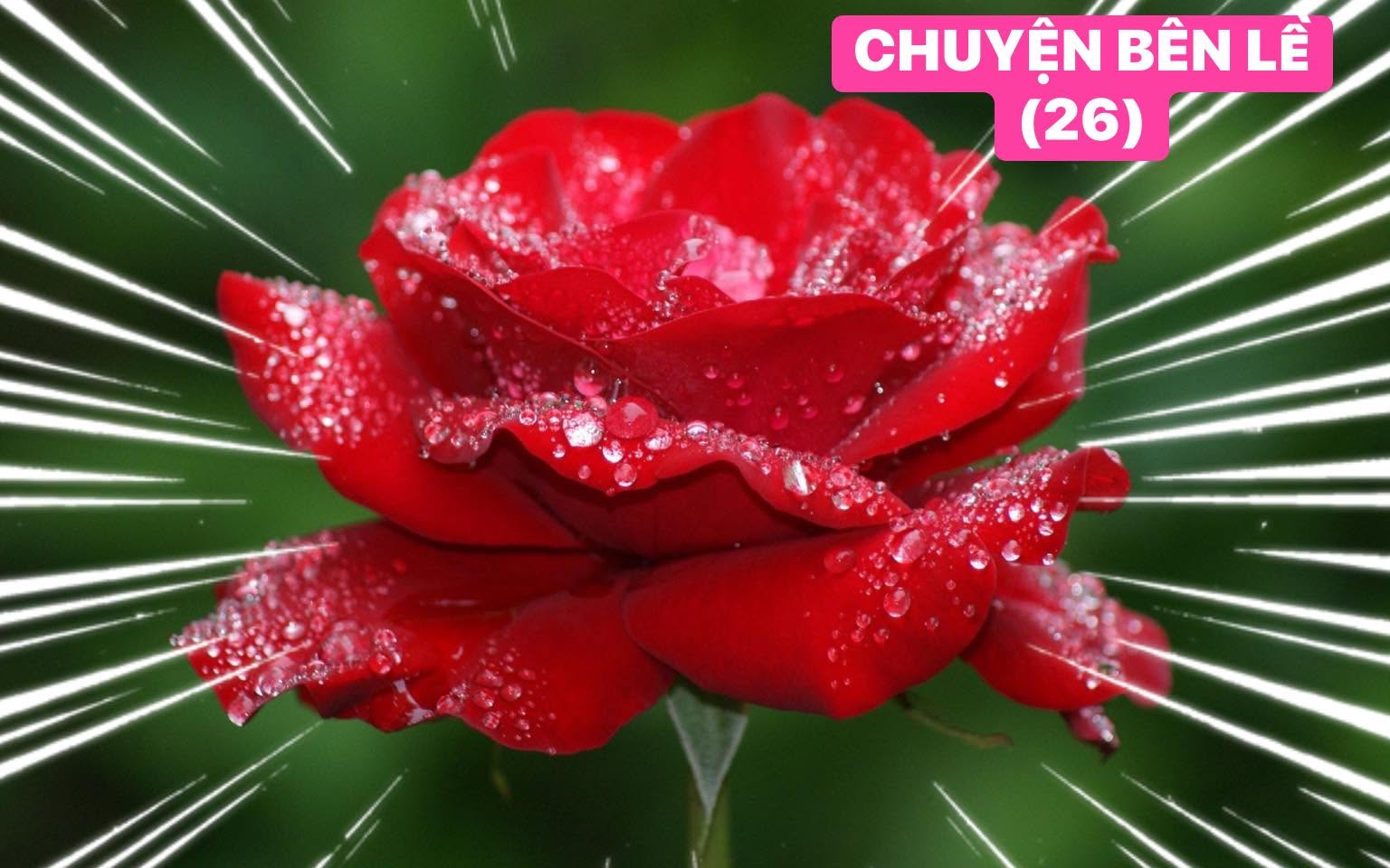 (26) CHUYeN BeN Le