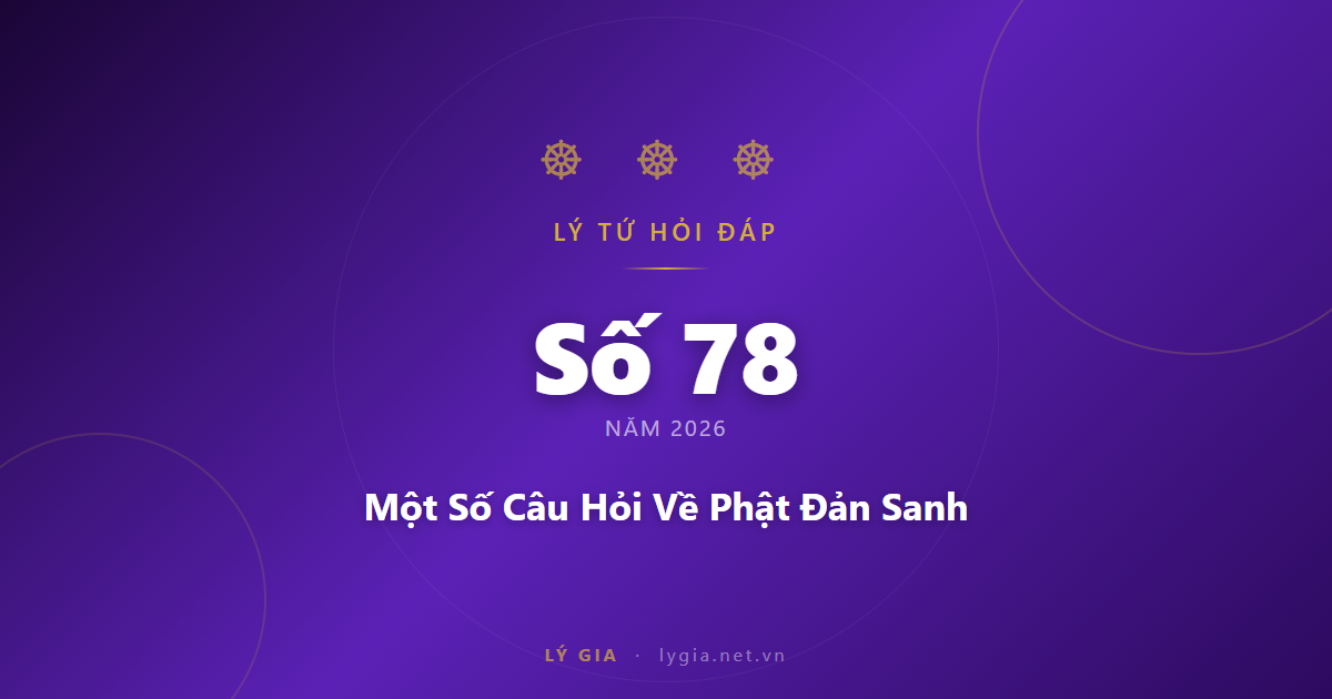 Lý Tứ Hỏi Đáp Số 78 - 2026