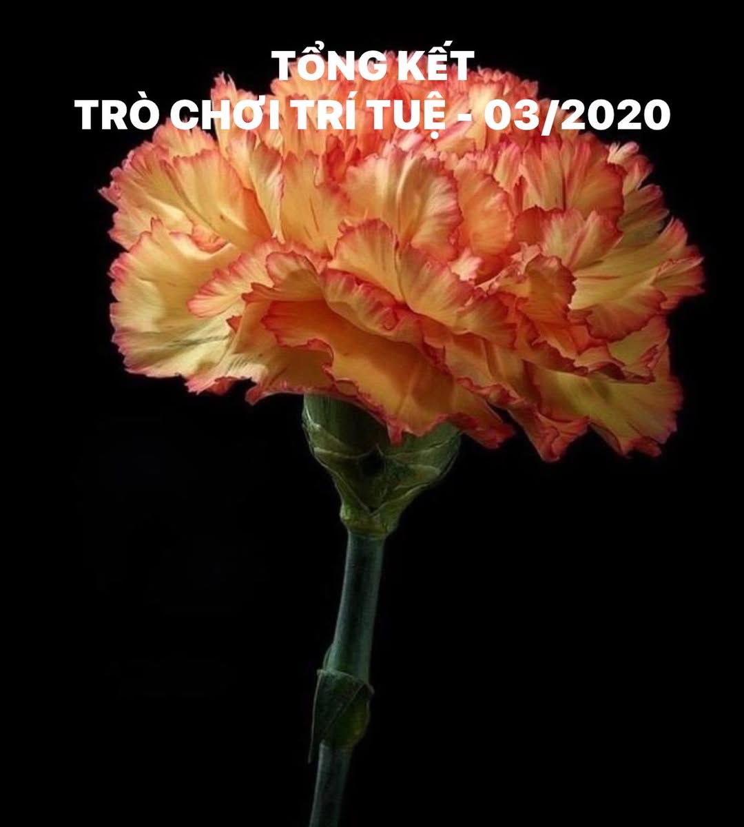 TỔNG KẾT TRÒ CHƠI TRÍ TUỆ - 03/2020 CHỦ ĐỀ: CHUYỂN THỨC THÀNH TRÍ