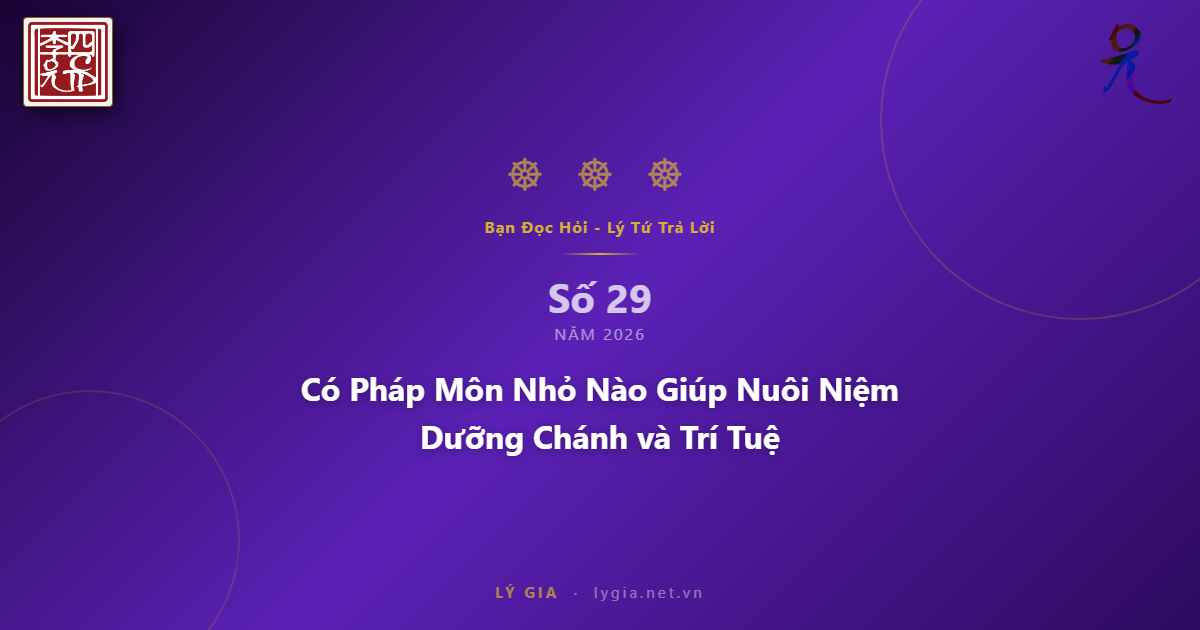 BĐH-LTTL Số 29 - 2026