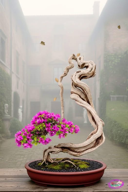 BĐH-LTTL số 30/2026