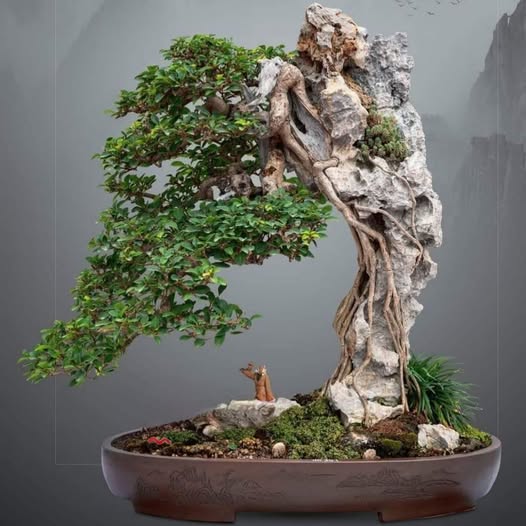 BĐH-LTTL số 36/2026