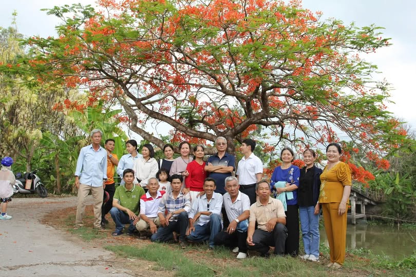 BĐH-LTTL số 66/2026