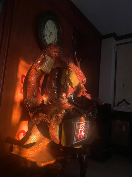 Ảnh minh hoạ bài viết