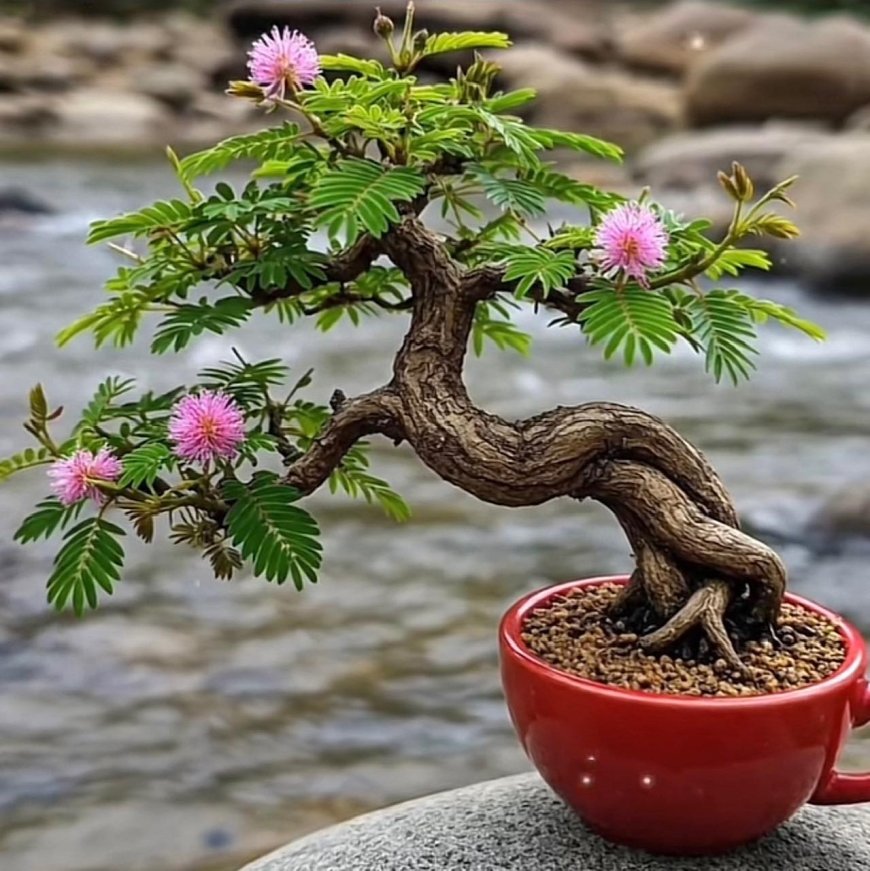 Chuyên mục Bạn đọc hỏi - Lý Tứ trả lời Số 26.2025 với chủ đề: Trả Lời Tiếp Tục Các Câu Hỏi Của Bạn Đọc Trí Đức !!!
