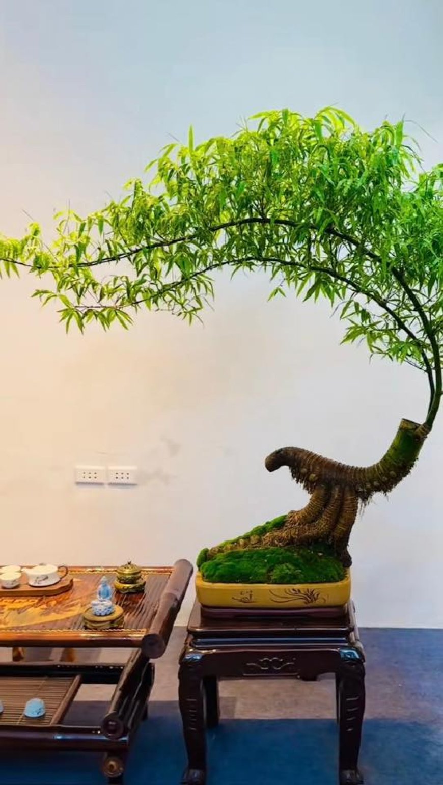 Chuyên mục Bạn đọc hỏi - Lý Tứ trả lời Số 38.2025 với chủ đề: Phản Hồi Của Bằng Hữu Trí Thiện - Qua Chín Câu Trả Lời Từ Chuyên Mục 35/2025 (B)