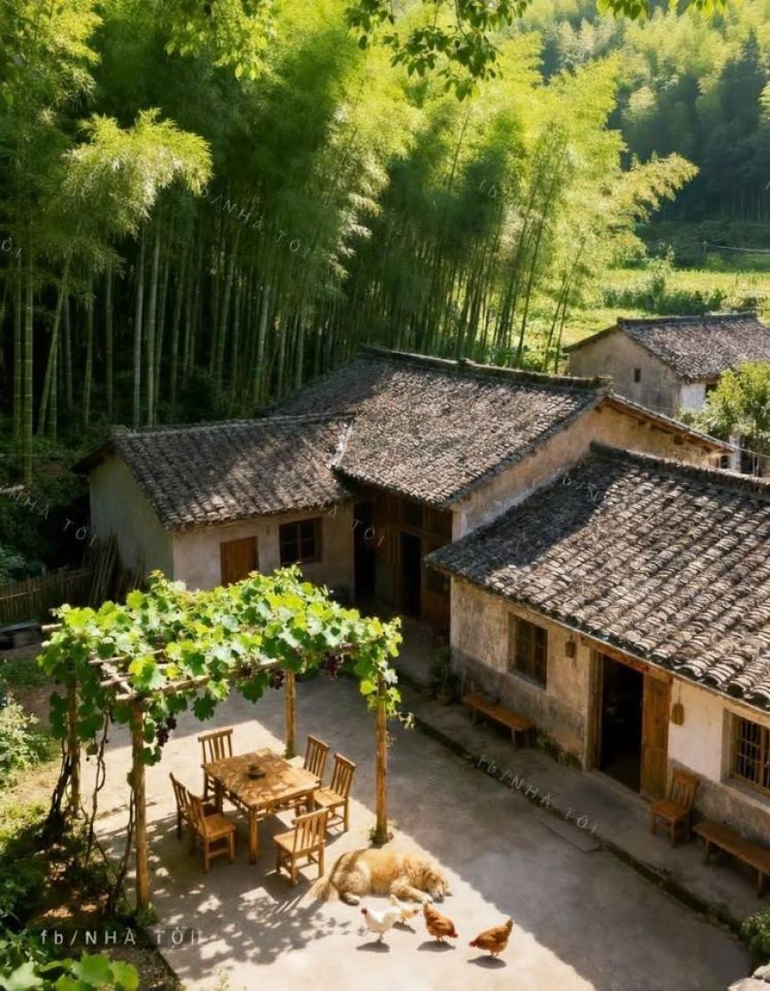 Chuyên mục Bạn đọc hỏi - Lý Tứ trả lời Số 41.2025 với chủ đề: Phản Hồi Của Bằng Hữu Trí Thiện !!!