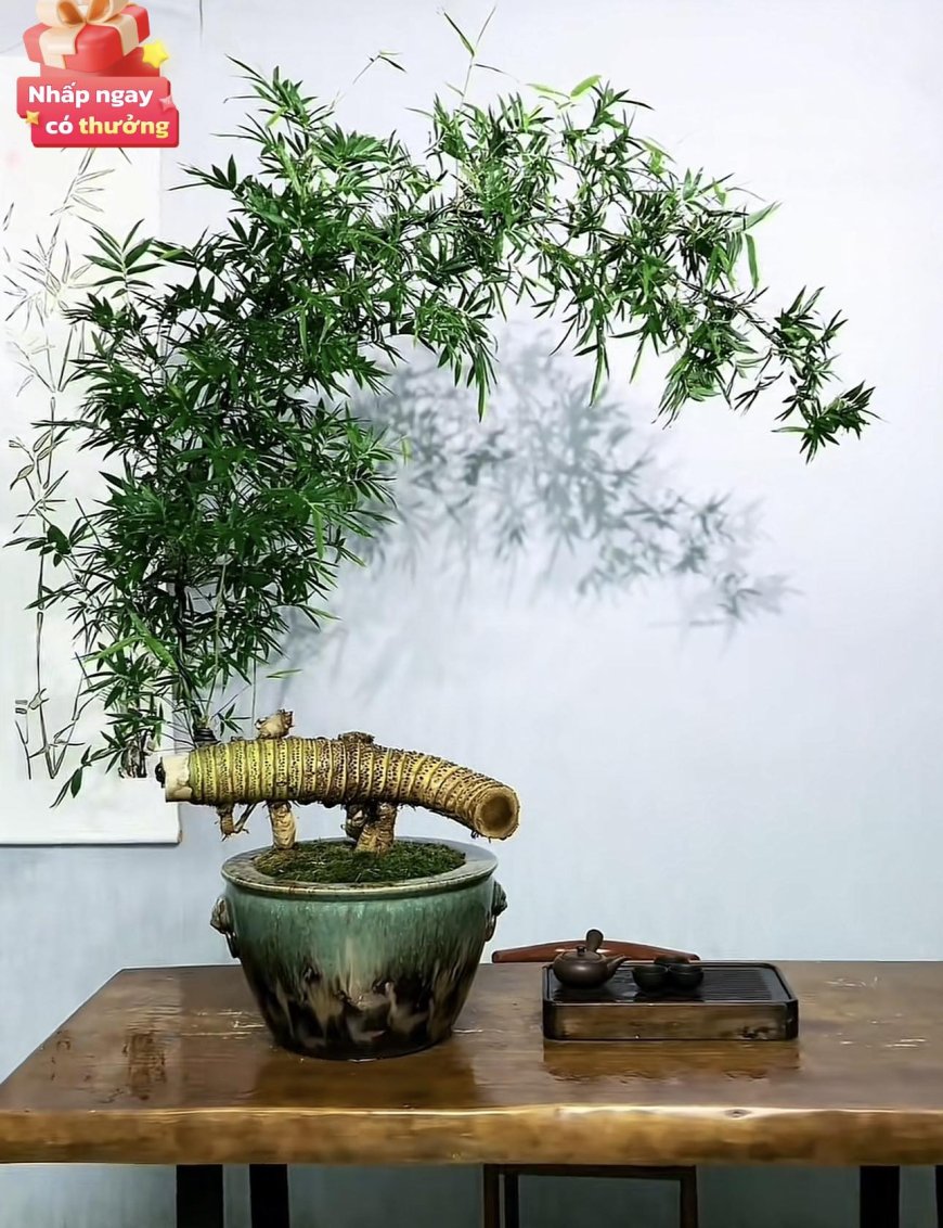 Chuyên mục Bạn đọc hỏi - Lý Tứ trả lời Số 51.2025 với chủ đề: Hiện Tại Không Dừng !!!