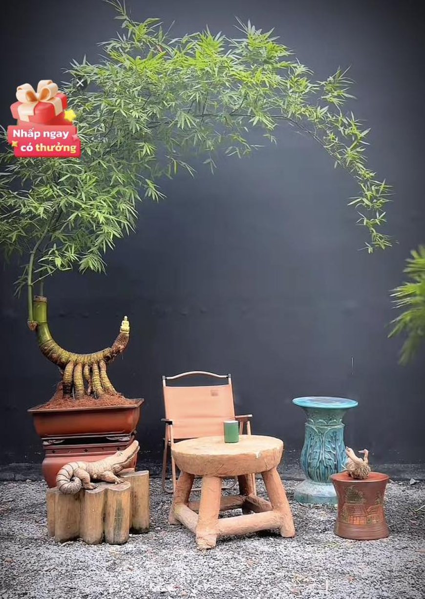 Chuyên mục Bạn đọc hỏi - Lý Tứ trả lời Số 53.2025 với chủ đề: Phật Giáo và Trí Tuệ !!!
