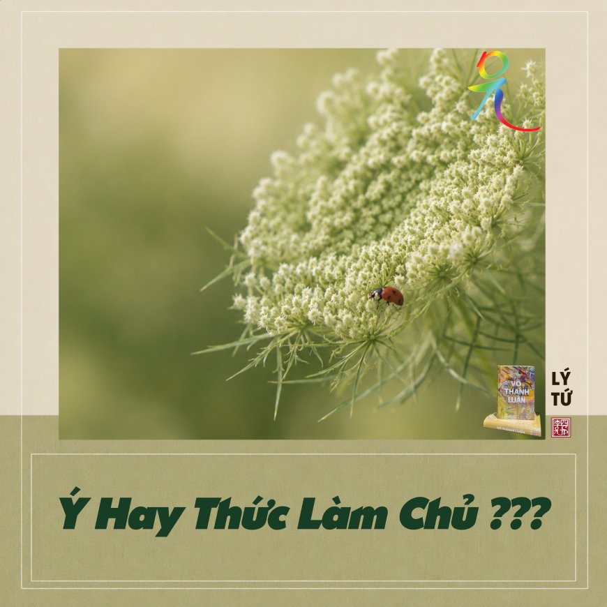 Ý Hay Thức Làm Chủ ???